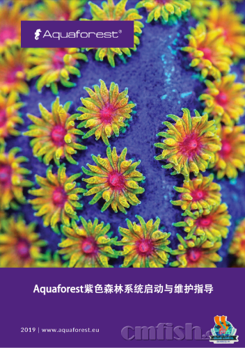��*O_20190513_222901.png