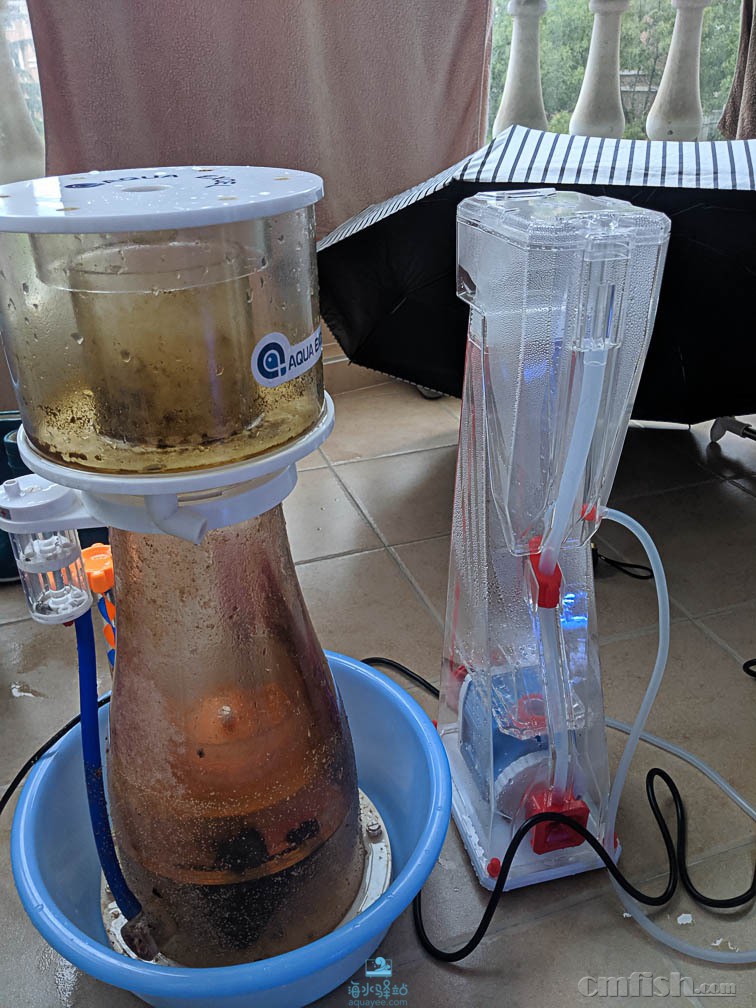 image037 - ����.jpg