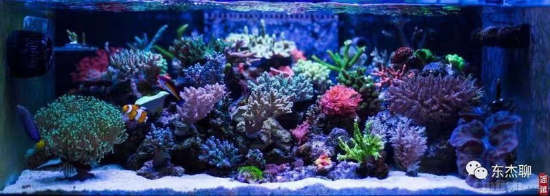 ����ϵͳSPS-������.jpg