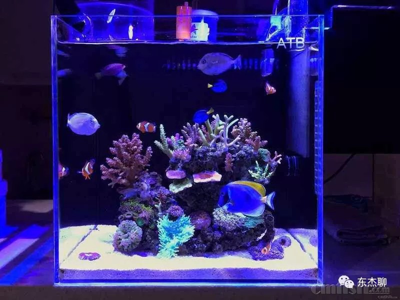 9.����ɺ����-������.jpg