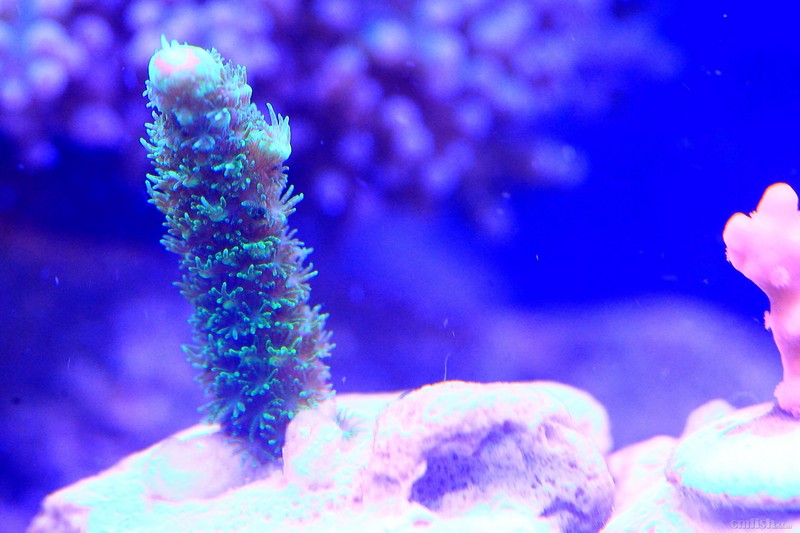 ����ʱ��