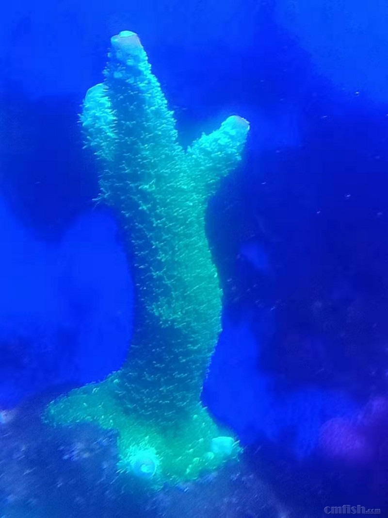 ���ڣ����ĸ����˳���һ����Ҳ���˸������ֲ�