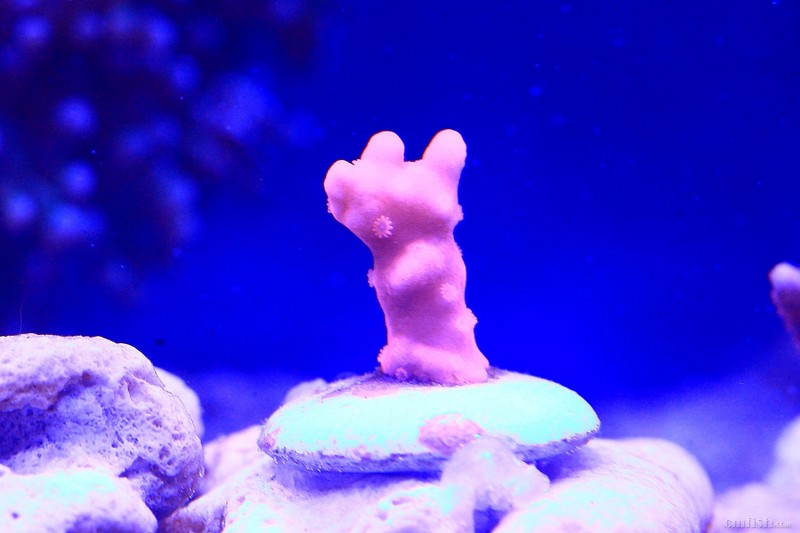 ����ʱ��