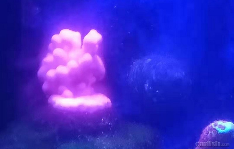 ���ڣ����ĸ�������Ȼû�߶��٣������ٿ���һ���ˡ�