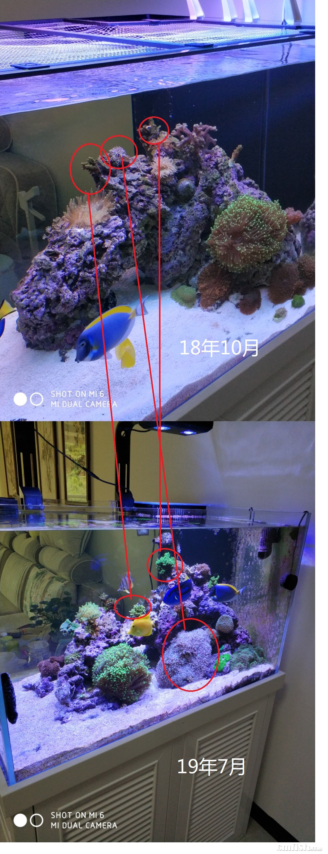 ΢��ͼƬ_20190814205902.jpg