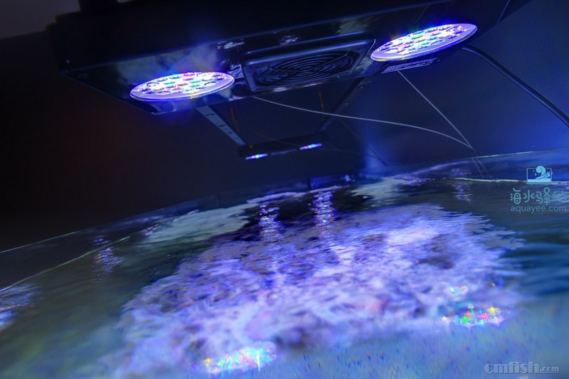 Radions LED��2.jpg