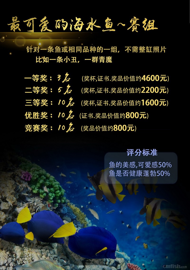 5.JPG