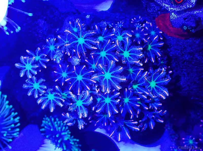 fl022.00461.gif (4).jpeg