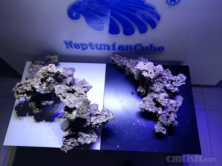 ��ʯ�쾰 (1).jpg