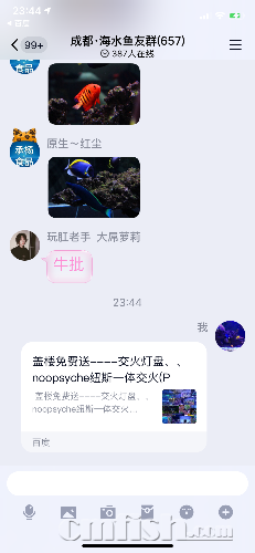 C2AE6493-9E2B-4C65-9F25-773163DFF44F.png