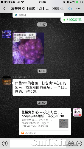 C3A37C59-3E16-4EE1-B9B9-E68CEB0FD4F3.png