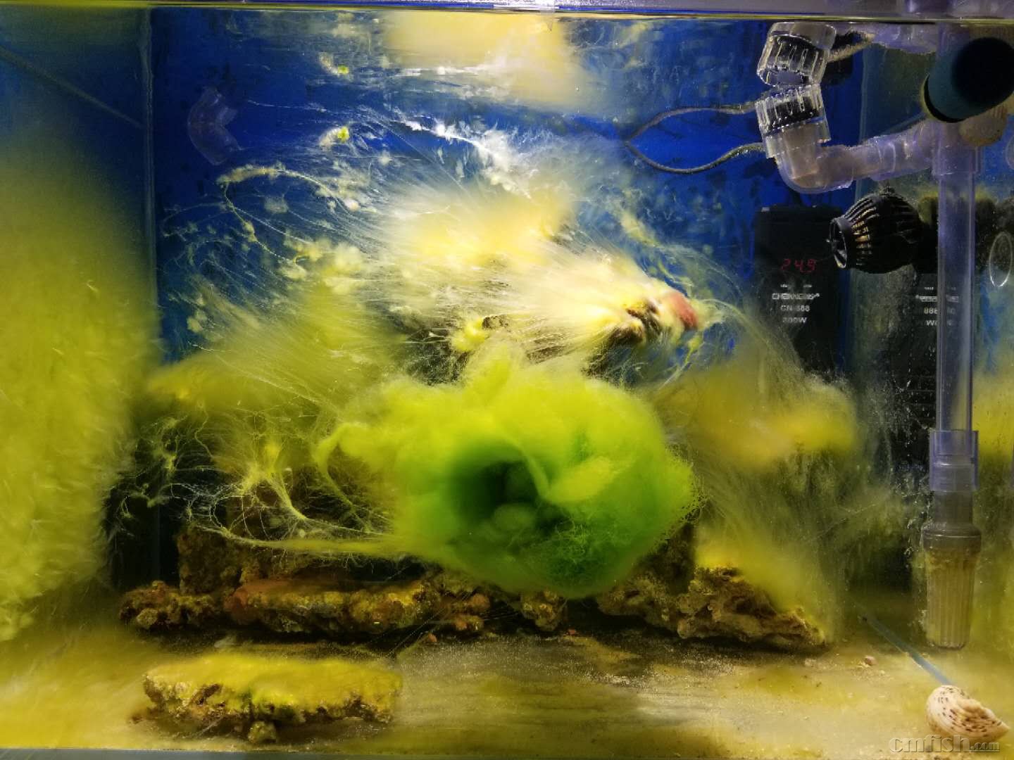 无聊了发套爆藻美图美到不想刷随手拍的没滤镜啥的