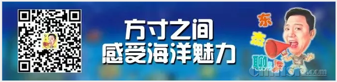 WEITU.png