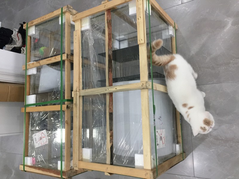 ������� һ���׸� �׸�û���� �Ժ������Ҫ���� ��׳ߴ糤���ߣ�1100*450*400 ���ĸ�