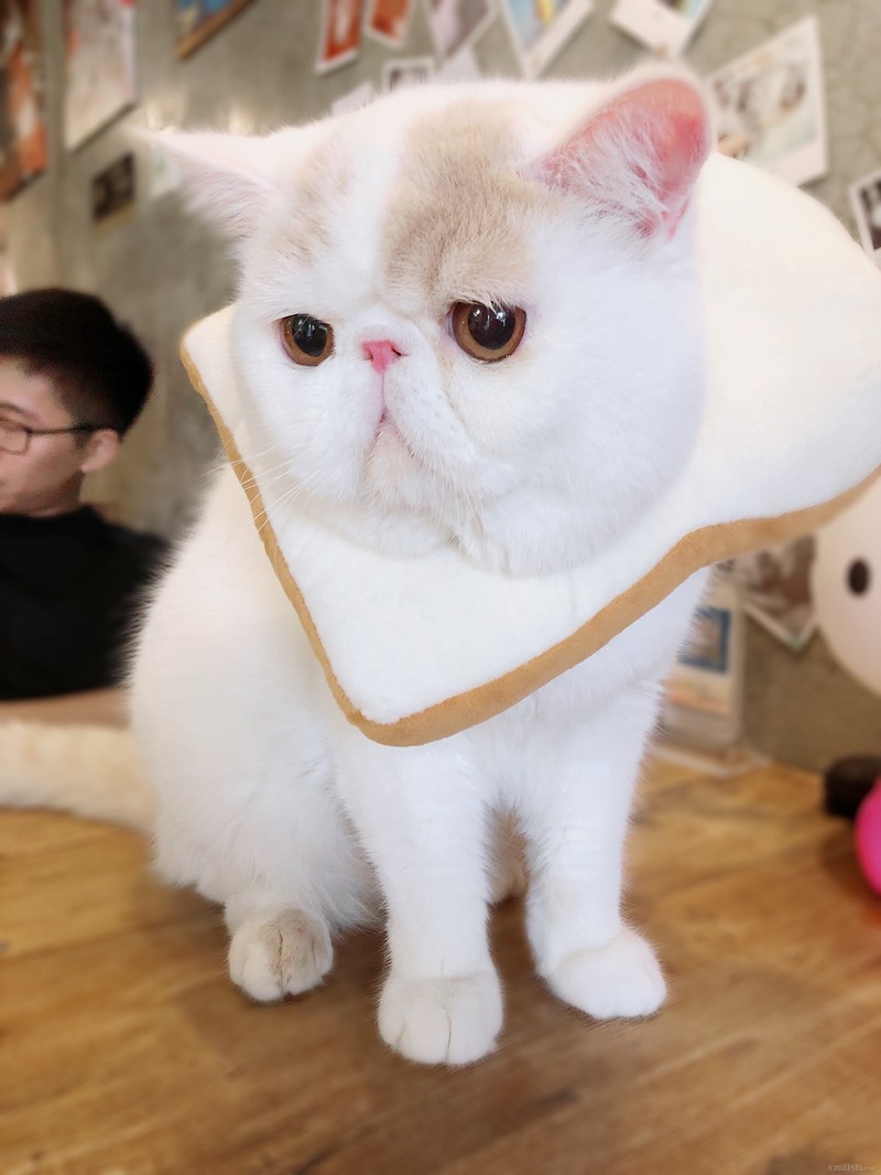 �����Ҽ���С�� ������