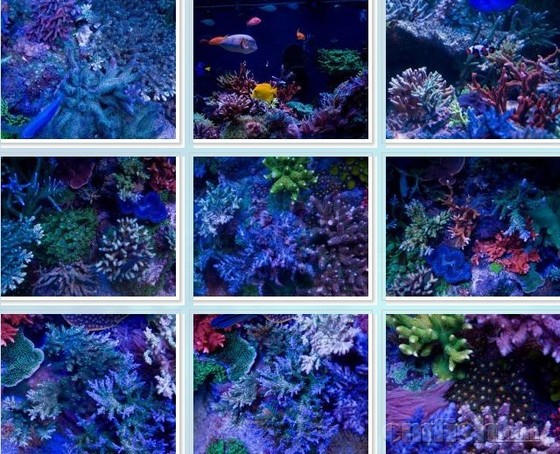 Scott Swanson��SPS��2.jpg