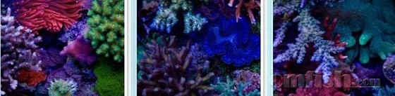 Scott Swanson��SPS��3.jpg