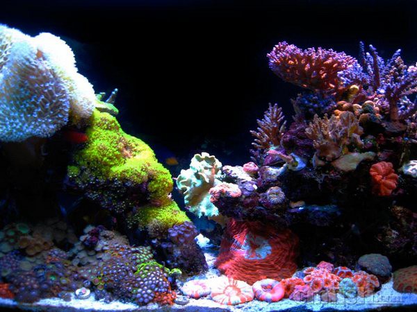 Jake Harvey��ɺ����.jpg