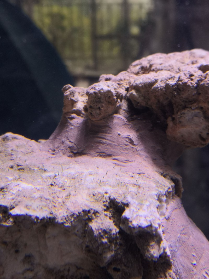 20191015_����ɫ����ìͷ.jpg