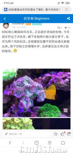 Screenshot_2019-10-20-15-48-37-458_com.android.browser.png