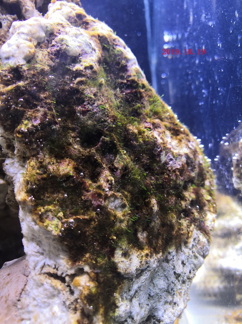20191019_�ֲ�.jpg