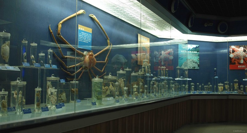 海洋生物标本馆.jpg