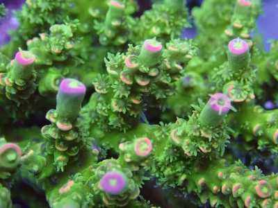 6.1��4��1�գ� (2).JPG