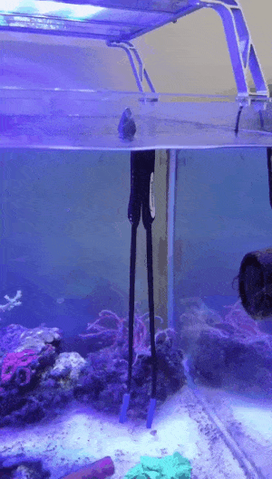 8BF5AB6C-65D0-463E-AC52-9E5022A65A29.gif