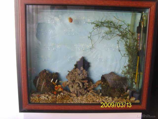 image001.jpg