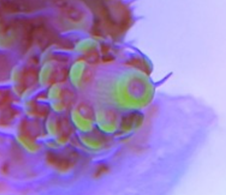image001.png