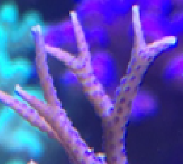image015.png