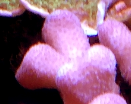 image011.png