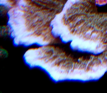 image023.png