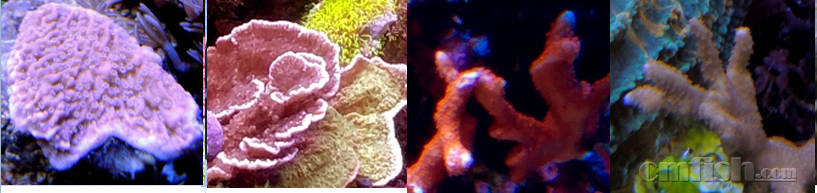 image029.png