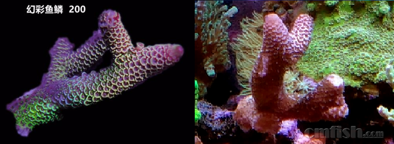 image086.png