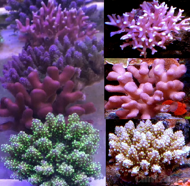 image088.png
