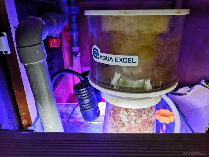 ����ֹͣ����