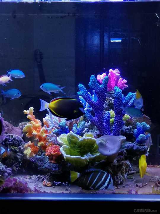 �Ÿ��ﻹ����