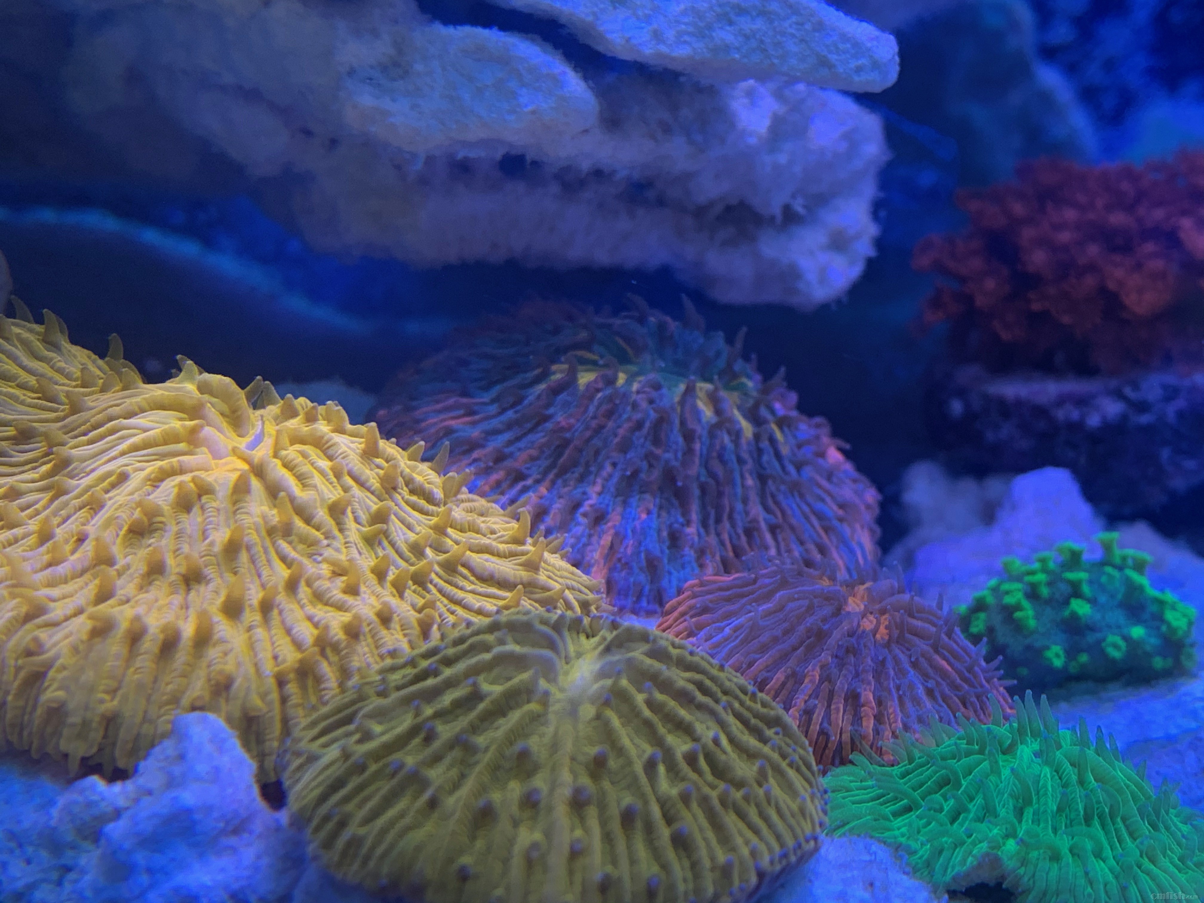 Red-sea 0226 - 10.jpeg