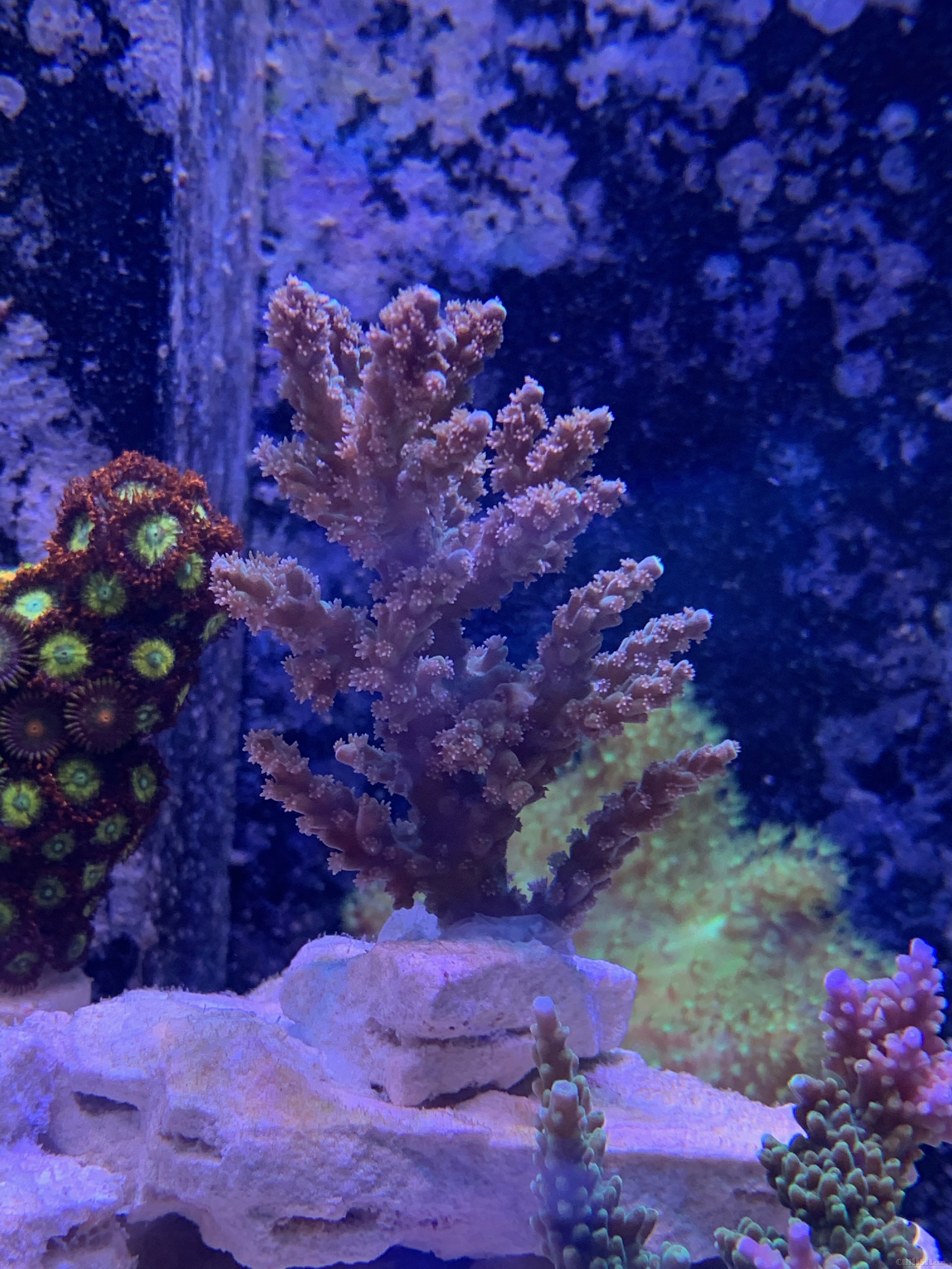 Red-sea 0226 - 15.jpeg