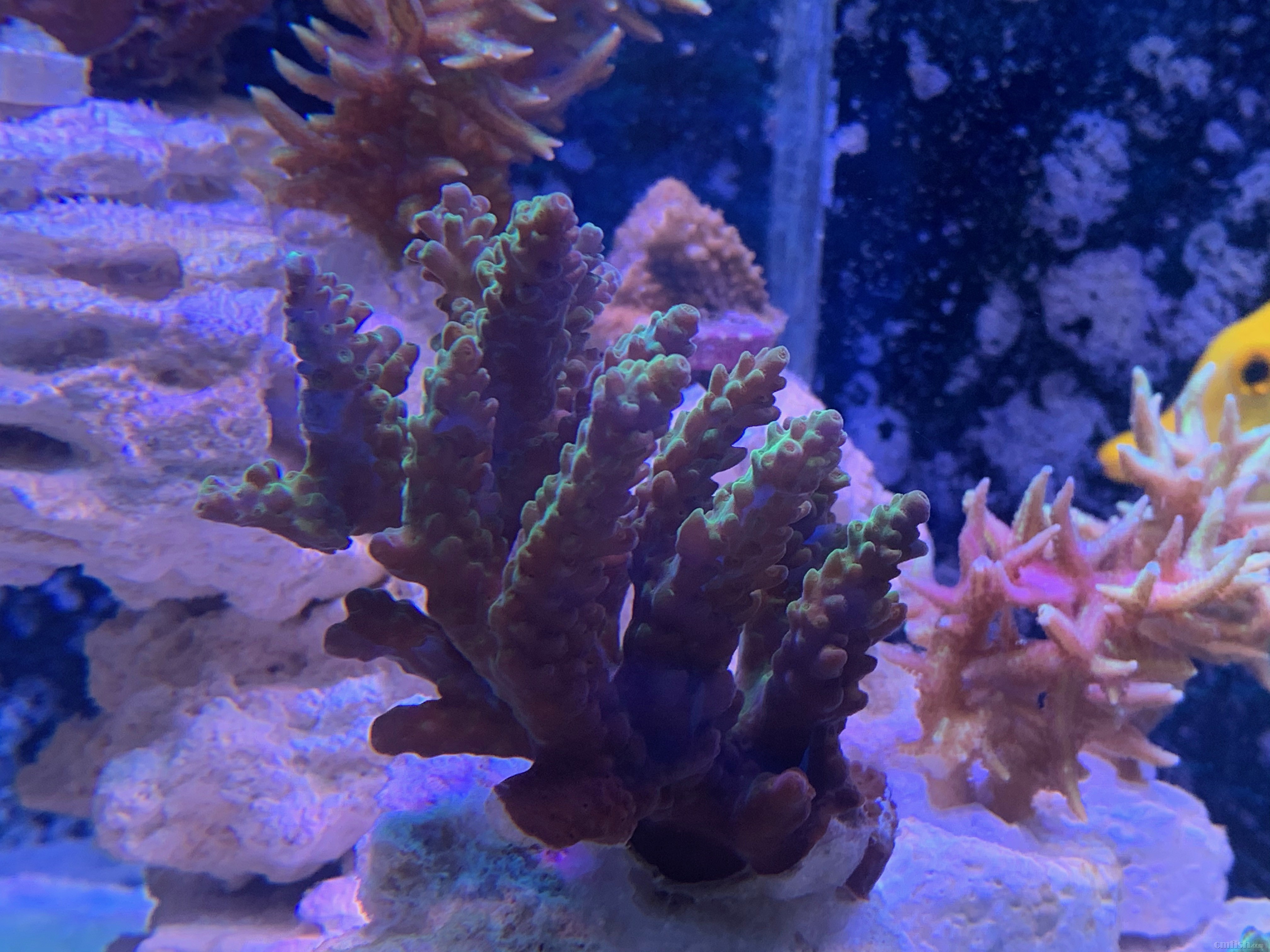 Red-sea 0226 - 14.jpeg