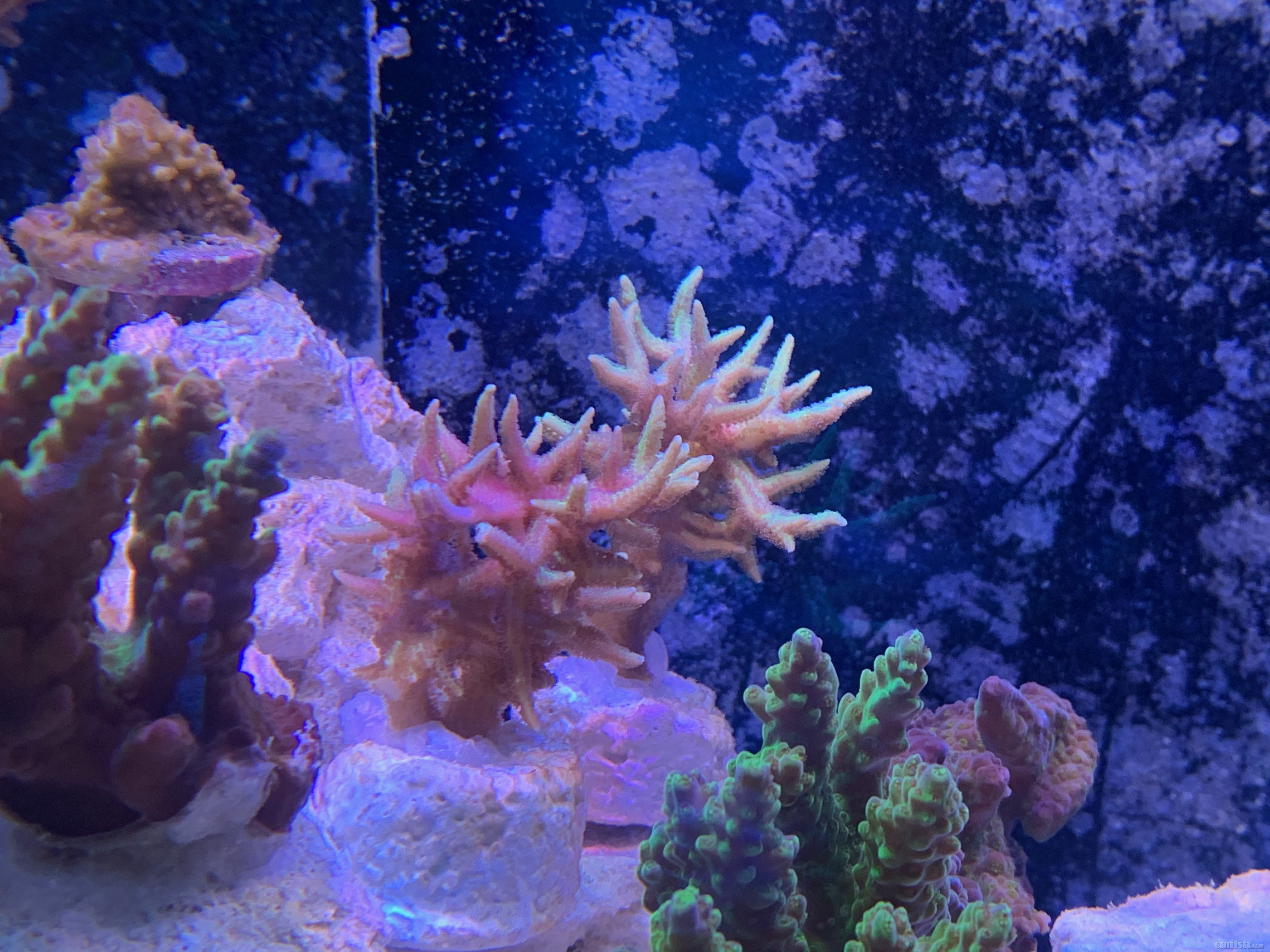 Red-sea 0226 - 16.jpeg