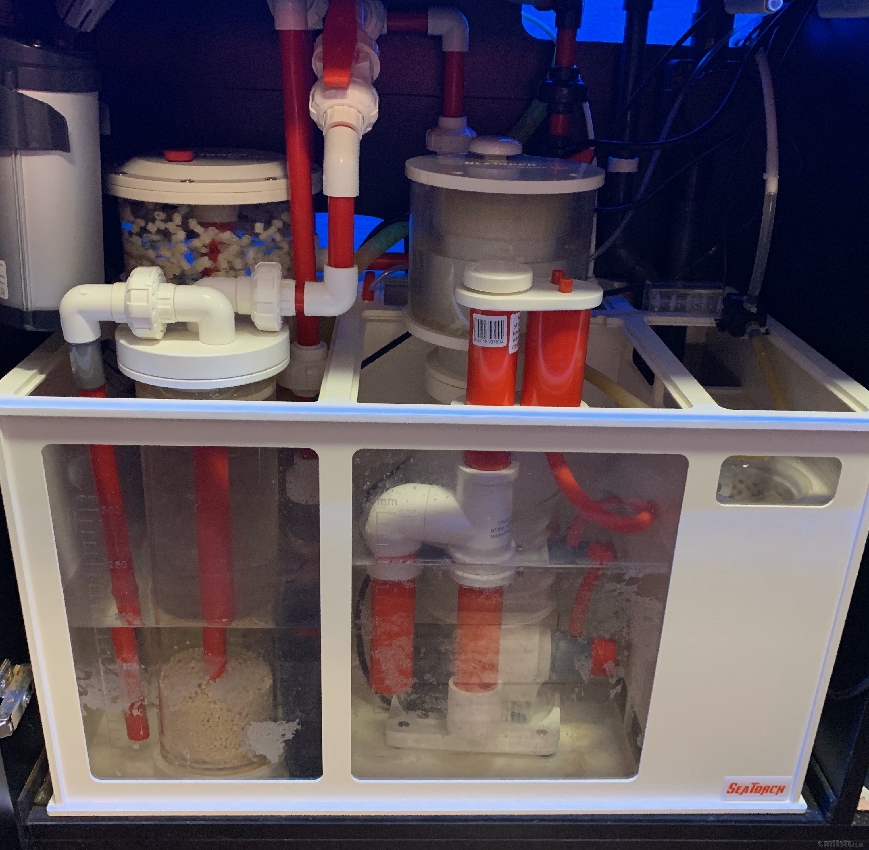 Red-sea 0226 - 6 (1).jpeg