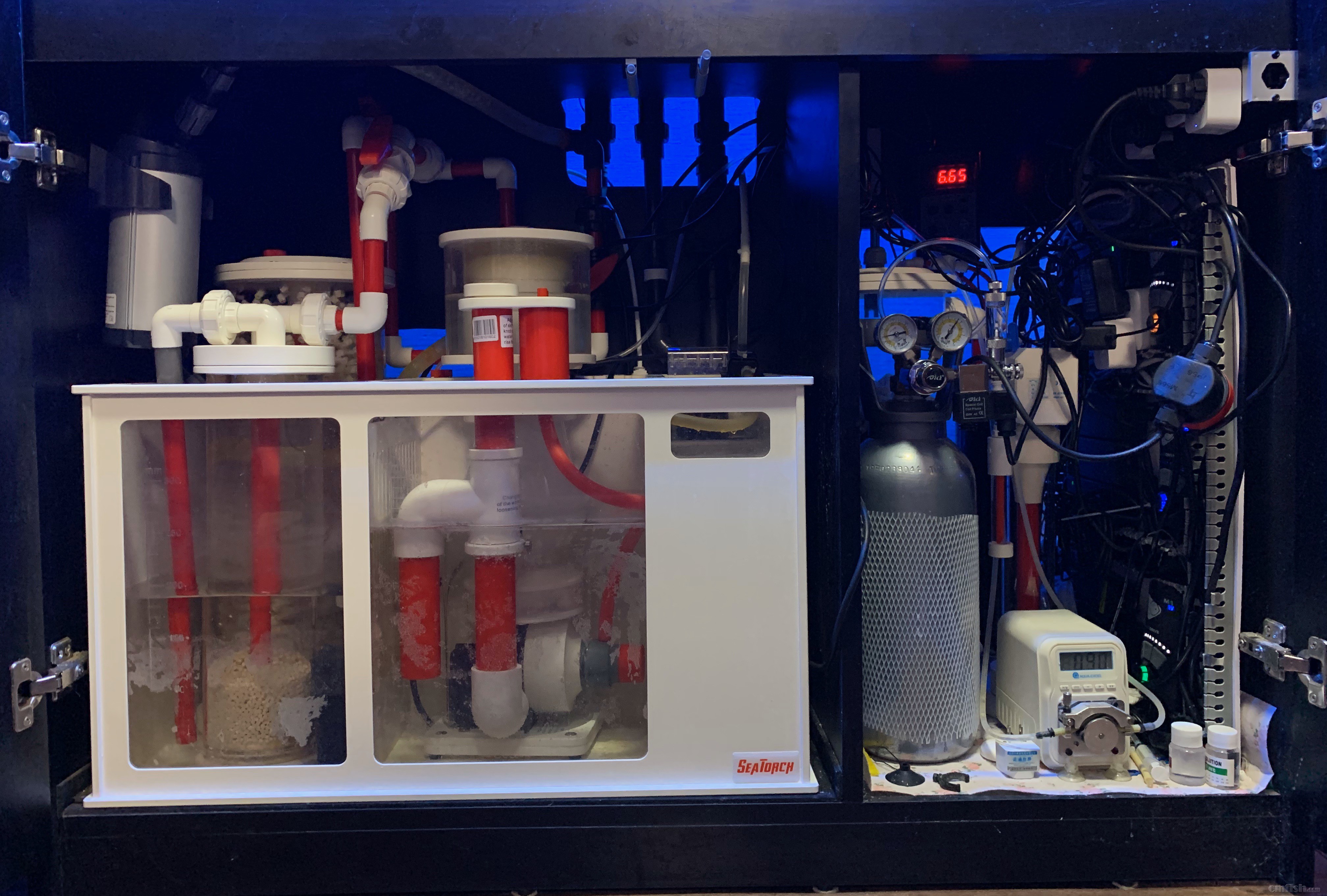 Red-sea 0226 - 3 (1).jpeg