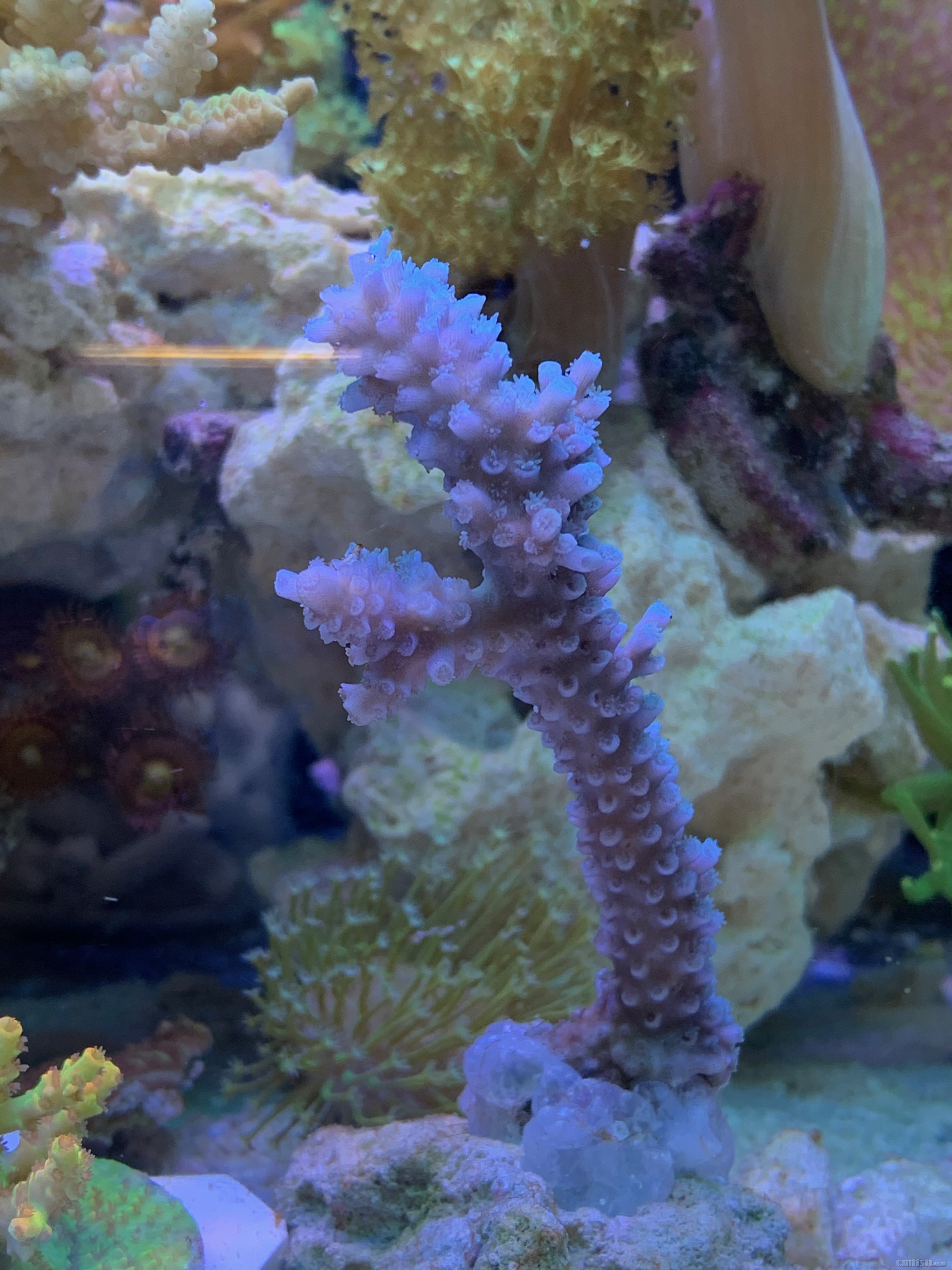 Red-sea 0226 - 11 (1).jpeg