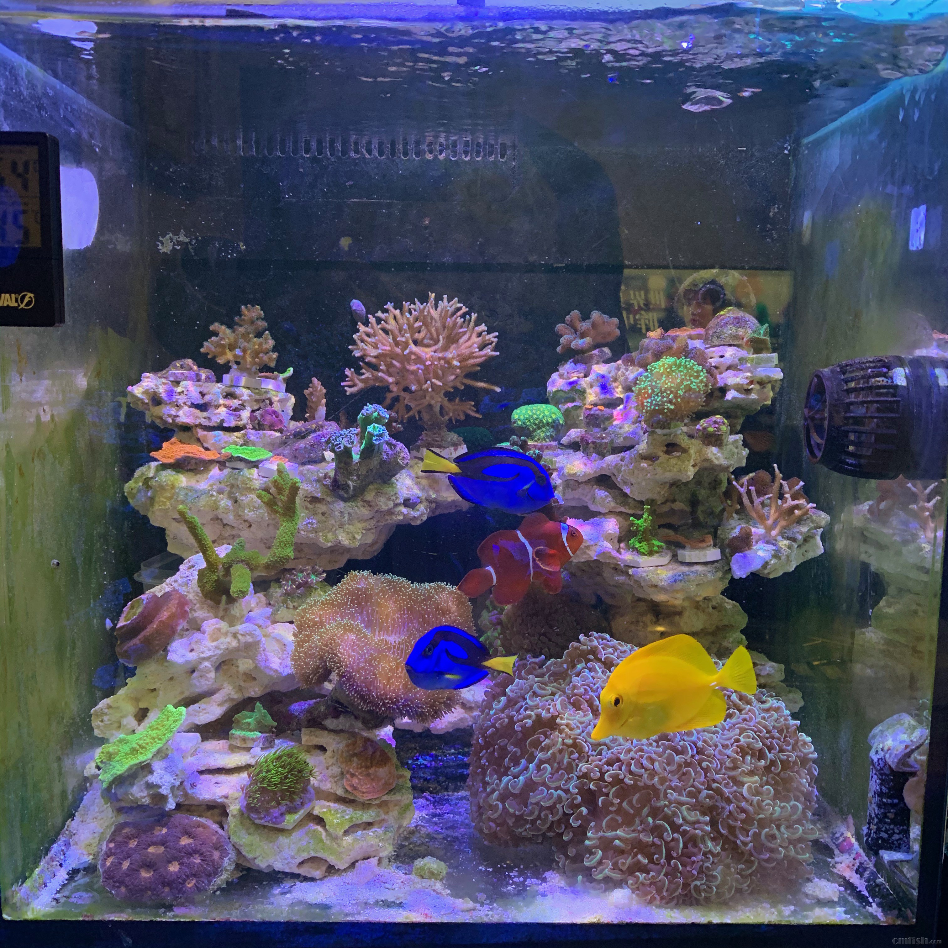 Red-sea 0226 - 13 (1).jpeg