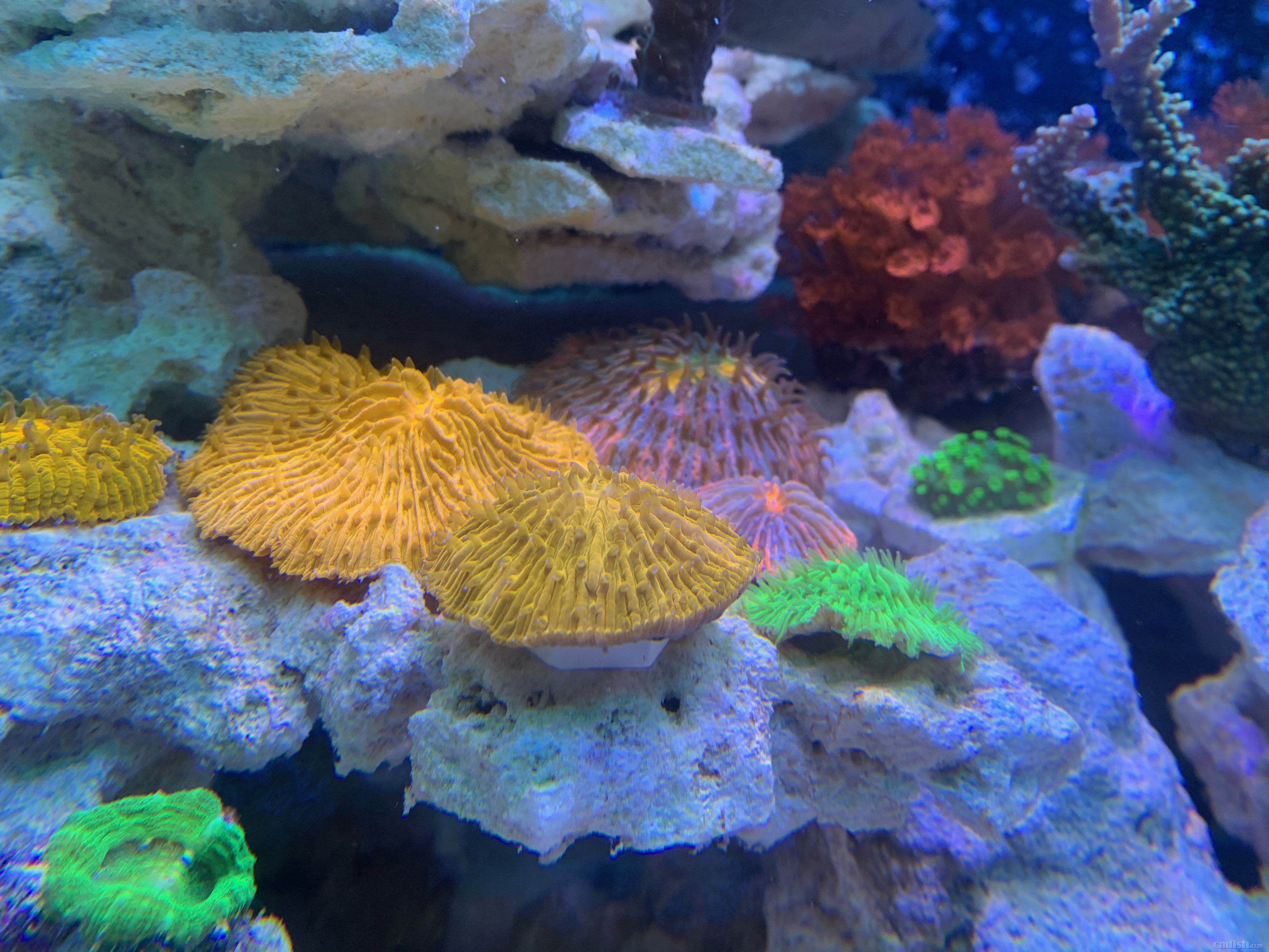 Red-sea 02261 - 2.jpeg