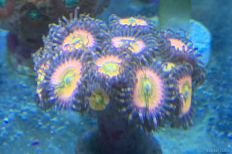 1c0c22d980b2bfd4f2c51bfaf125b8d.jpg