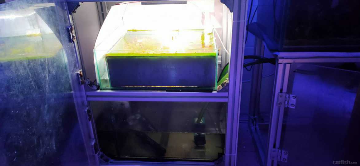 ΢��ͼƬ_20200406161921.jpg