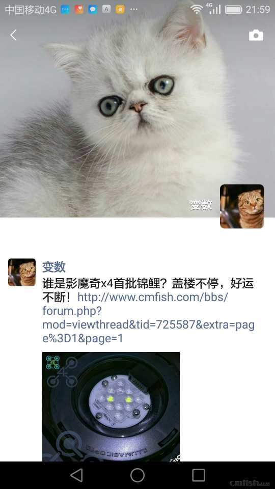 00.JPG
